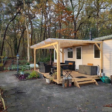 Chalet Met Veranda Aan Bosrand Vledder Eksteriør bilde