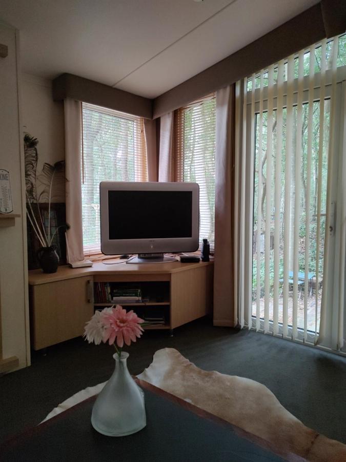 Chalet Met Veranda Aan Bosrand Vledder Eksteriør bilde