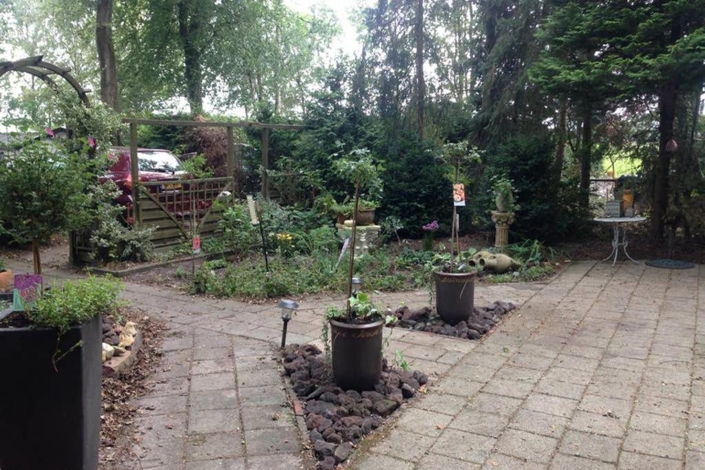 Chalet Met Veranda Aan Bosrand Vledder Eksteriør bilde